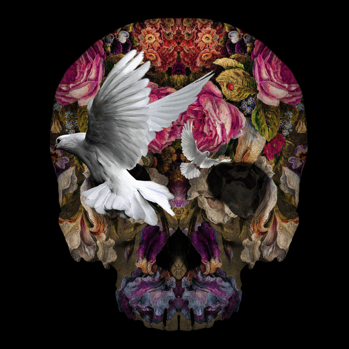 TOIVOA - Skull and Doves - Art