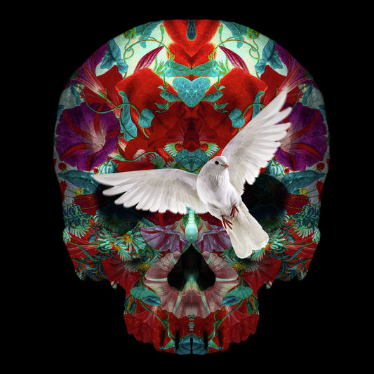 ESPÉRER - Skull and Doves - Art