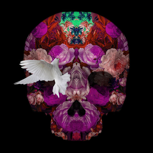 FILLMEWITHBEAUTY 2 - Skull and Doves - Art